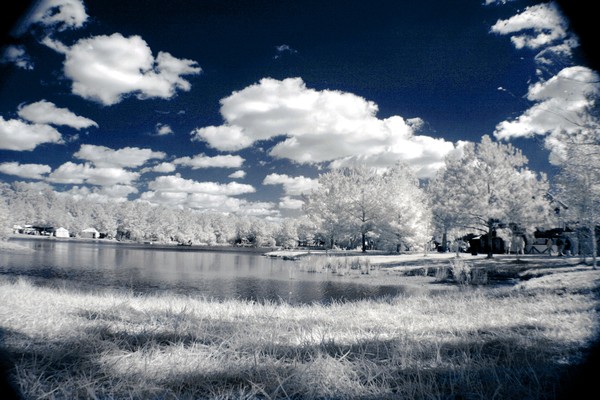 Peaceful lake