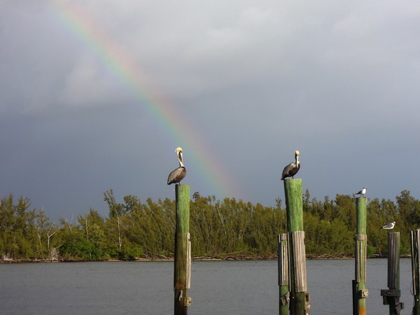 Rainbow (2)  3/16/2012