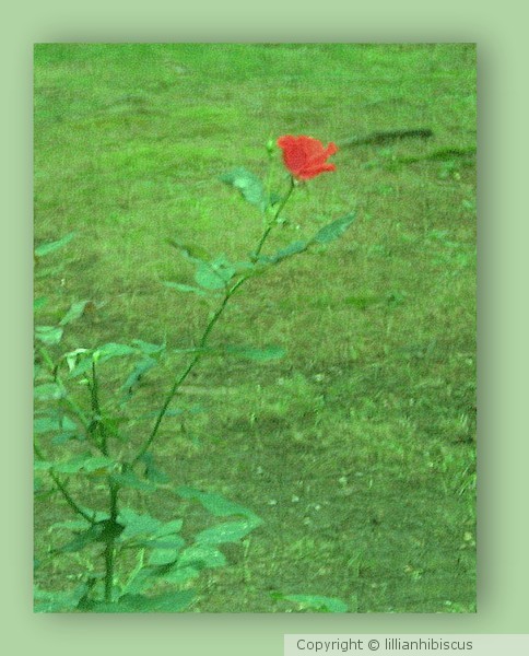 Another Summer Is Gone