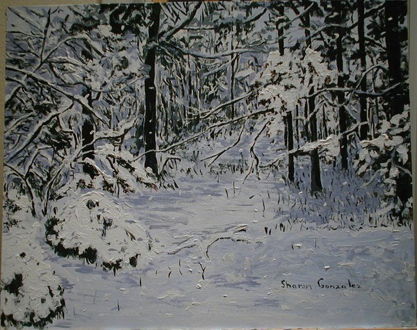 Ozark Woods in Snow #3