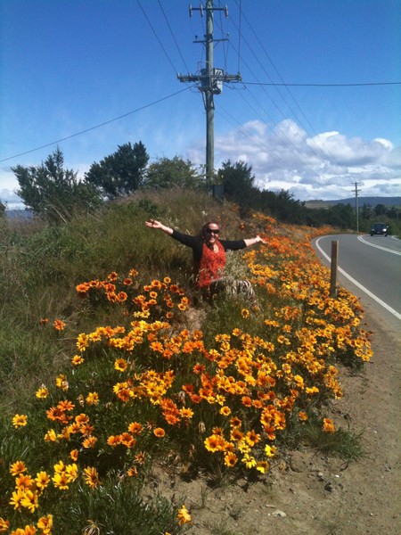 Flowers for you and me2