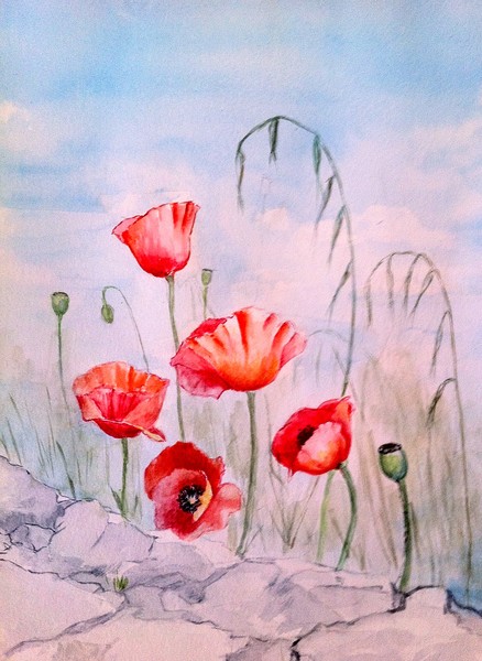 Cretan Poppies