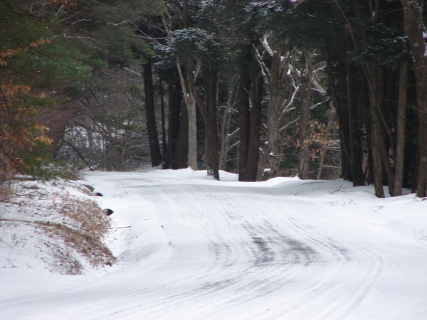 Clarion River Road