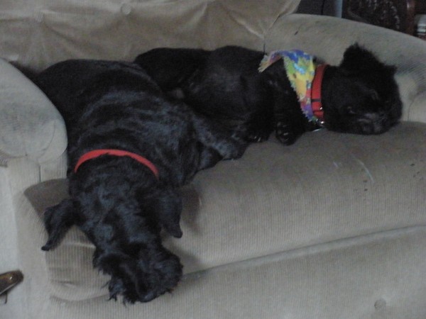 naptime