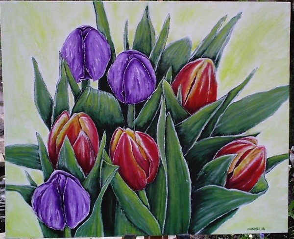 Tulips Delight