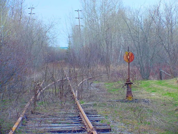 Nature Takes Back