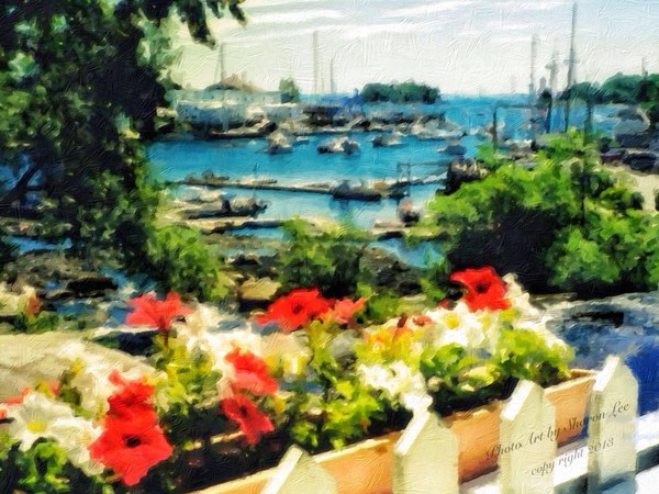 Camden Maine Harbor