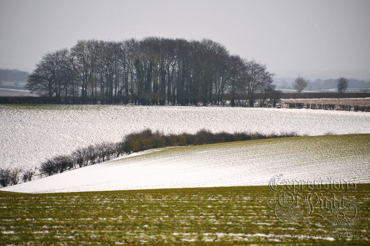 ExpoLight-The-Lincolnshire-Wolds-Winter-18-03-2018-0017 (SP)
