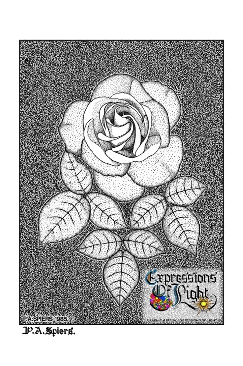 ExpoLight-Graphic-Arts-Rose-1985-0001 (Pen-&-Ink-Mono-SP)