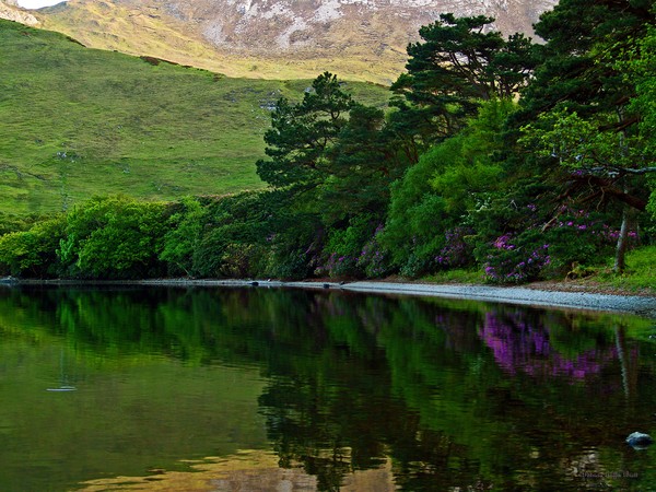 Across From Kylemore Abbey- Fine art print