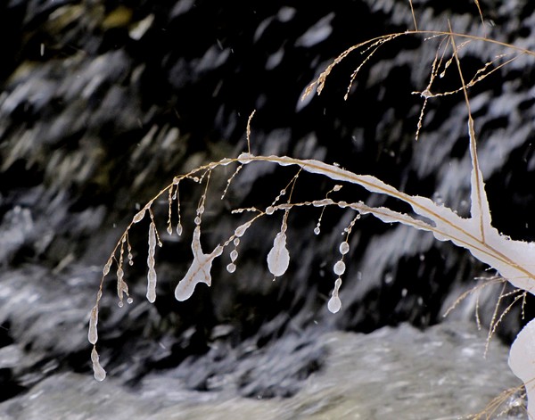 Ice Drops!