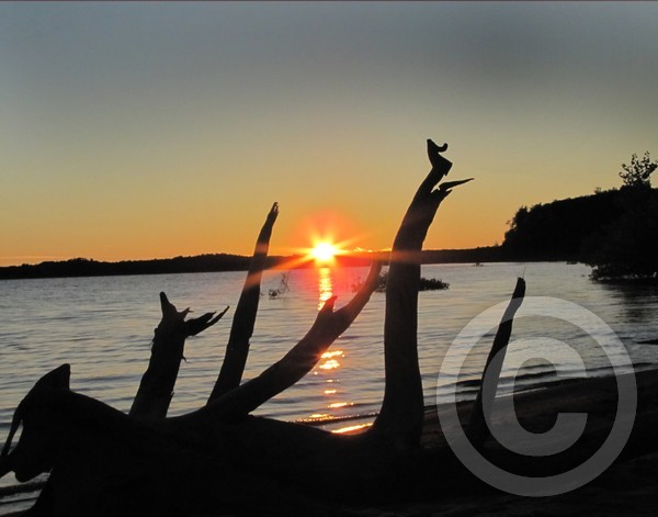 Driftwood reaches out!