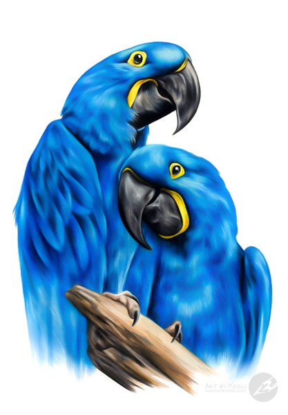 Pair of Blues