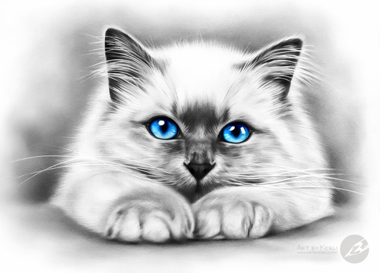 Watching you