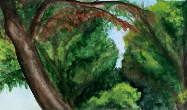 Trees