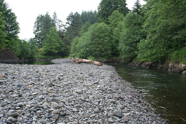 Picture_012