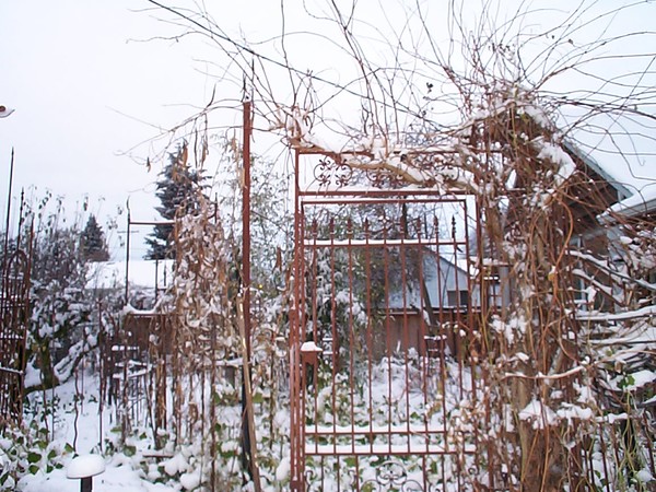 December Snow