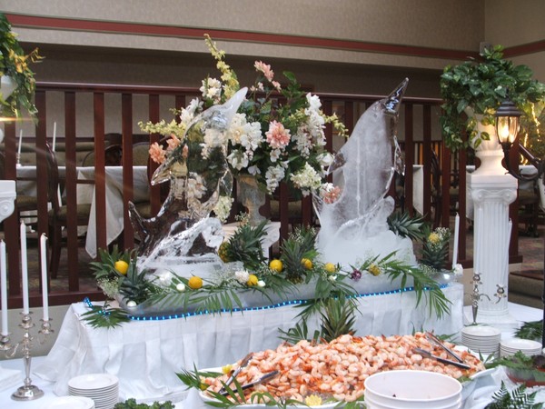 Dolphins