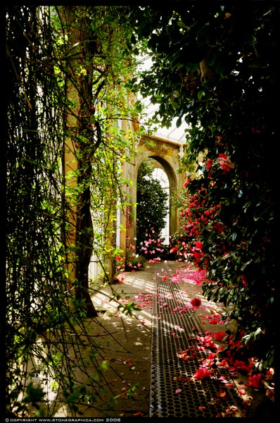 Camelia House