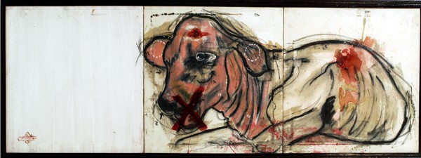 cow2