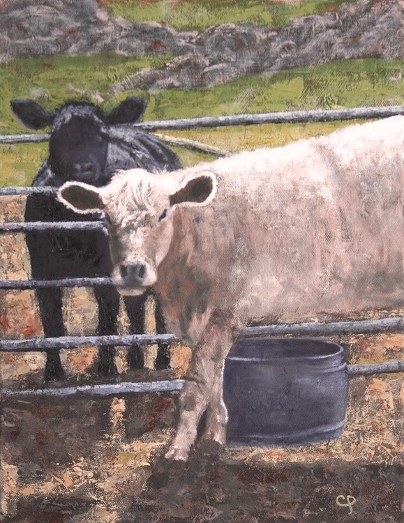 At the Corral