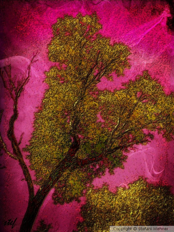 yellow tree