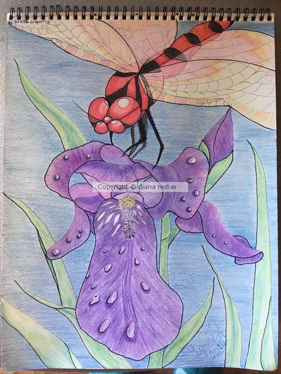 Dragonfly on iris #3 series