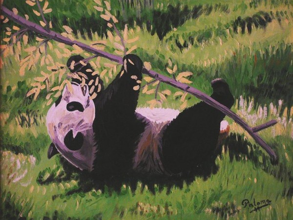 panda