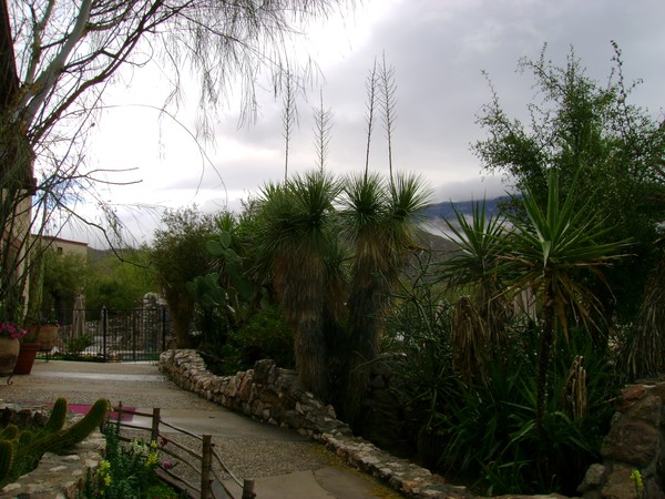 Wet n Cloudy Tucson