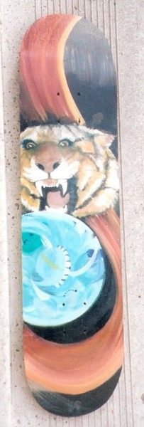 zoo tiger