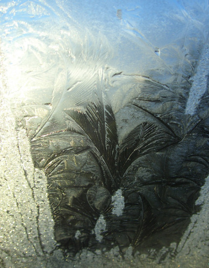 Frost Flowers
