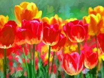 flowers1