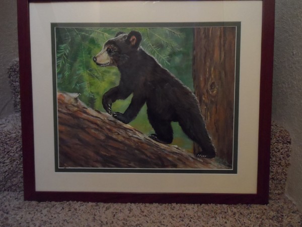 BEAR ON A LOG