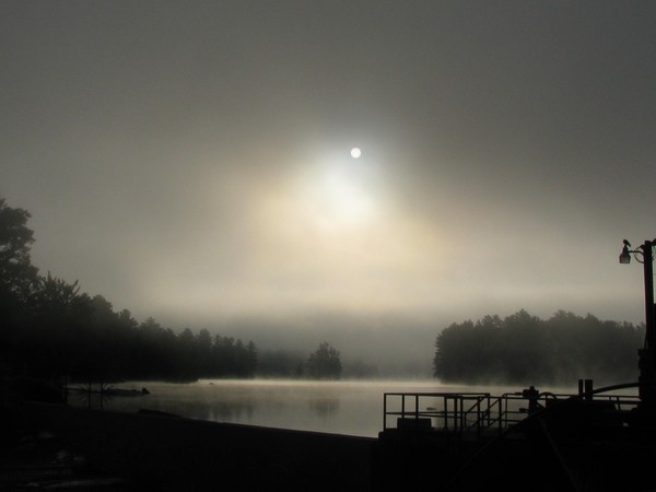 Fog