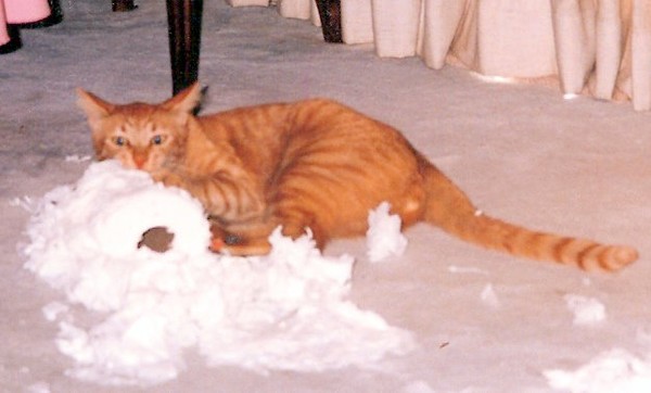 Caught in the Act