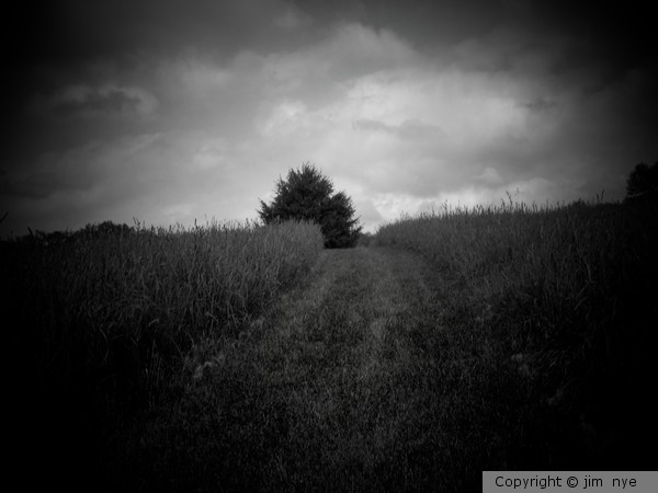 Distant