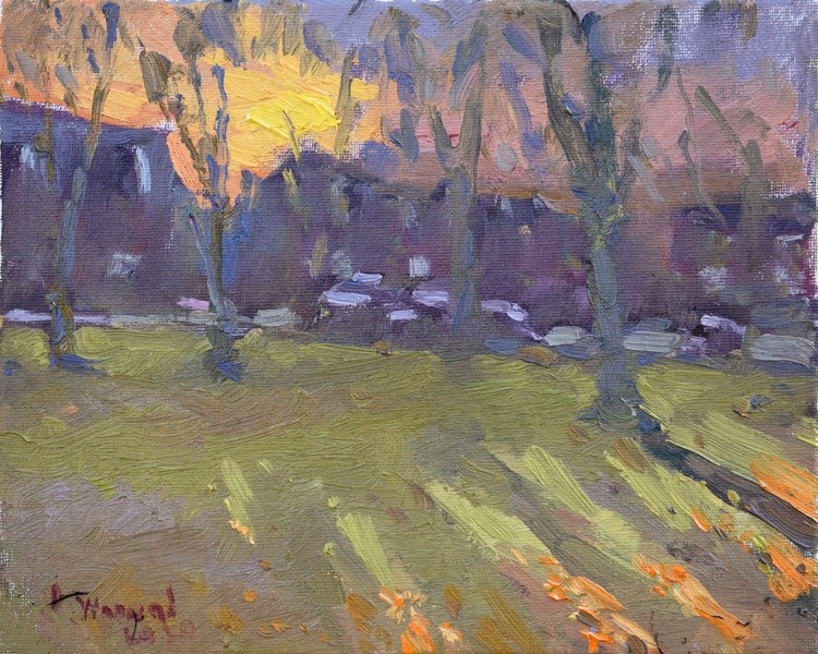 Sunset in my Neighborhood 2