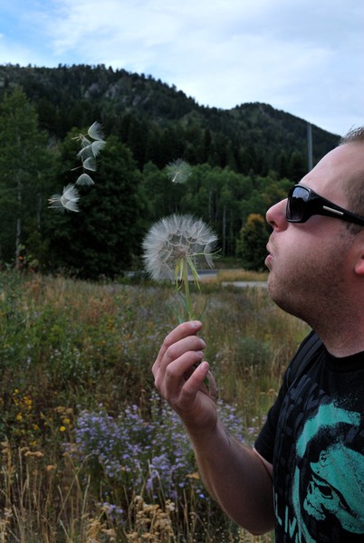 Make a Wish