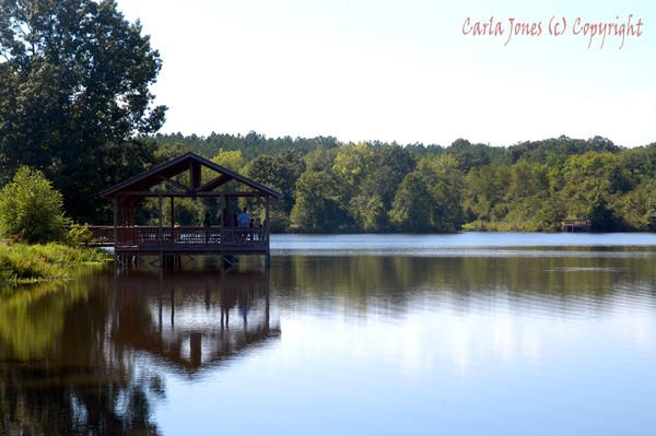 JANET HUCKABEE PARK FORT CHAFFEE AR.