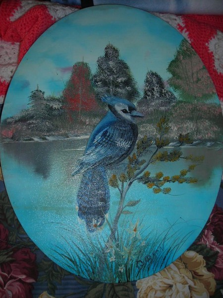 1st bluejay