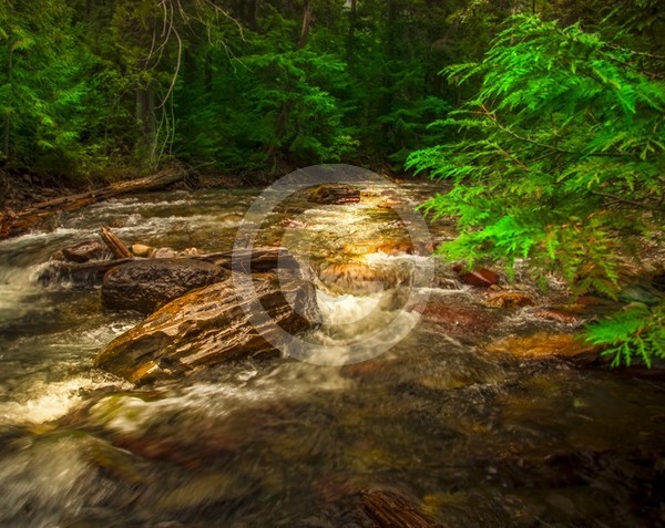 Misty Creek Waterfall