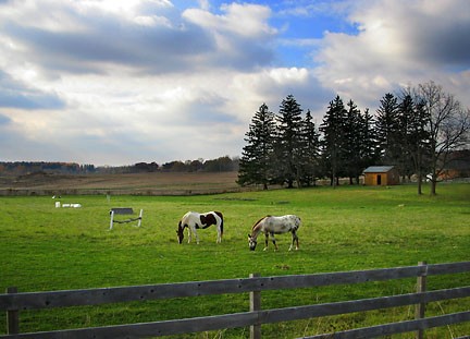 Suburban Scene