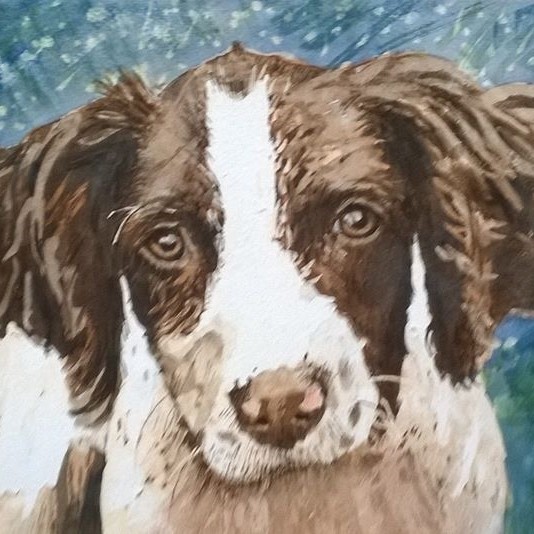 pet portrait