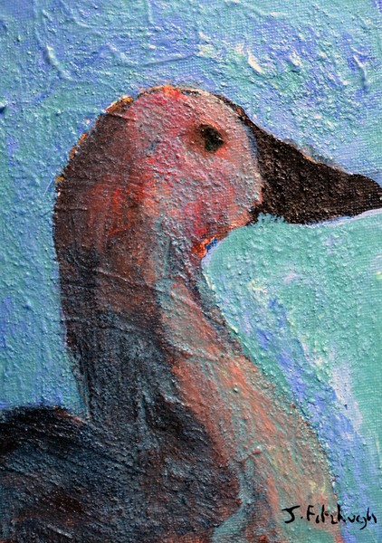 A QUACKY DUCK