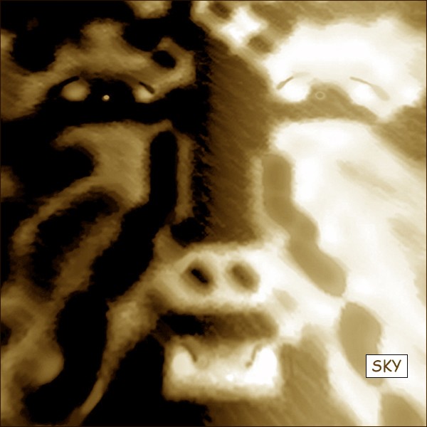 WOLFMAN in moonlight