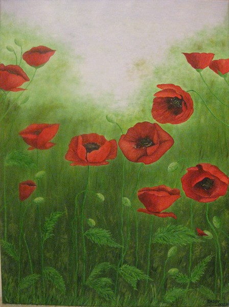 Poppies-2
