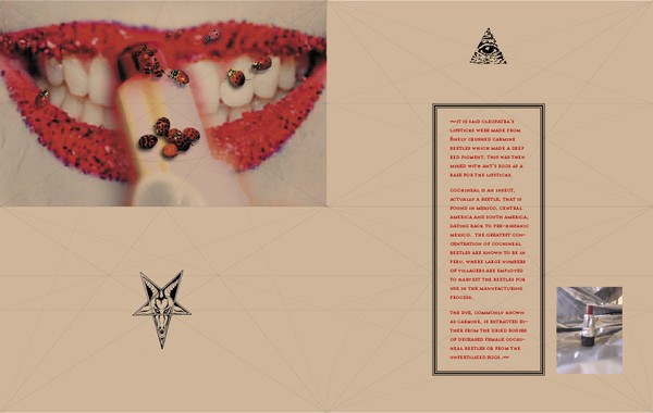 Spread-Alchemist's Guide to HIdden Ingredients