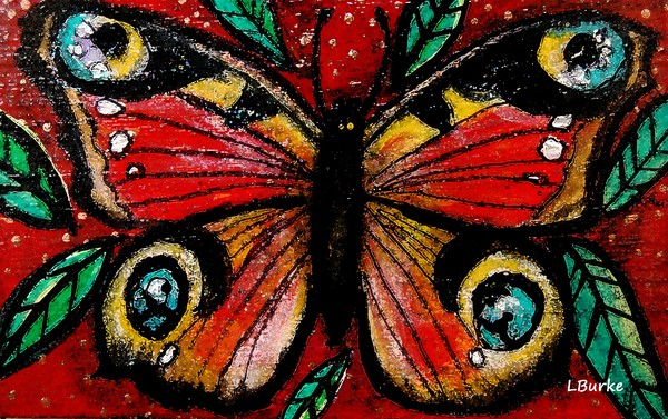 Cecropia Moth