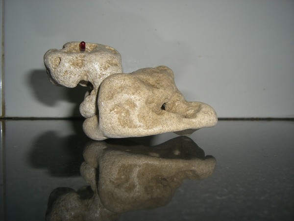 THE TURTLE
