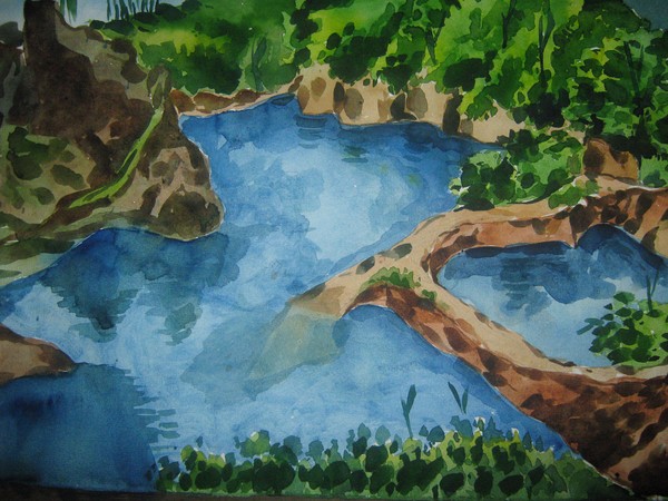 LANDSCAPE